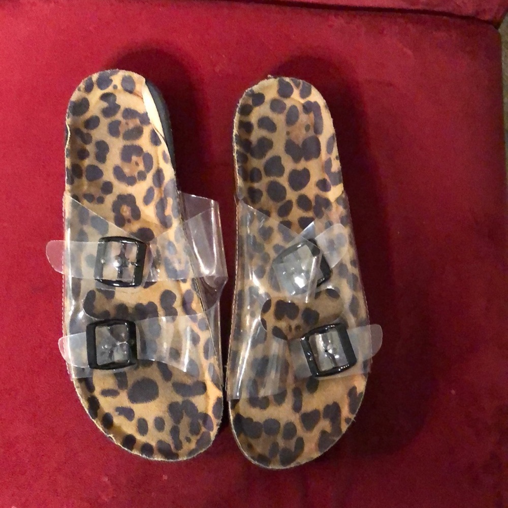 Cheetah Slides